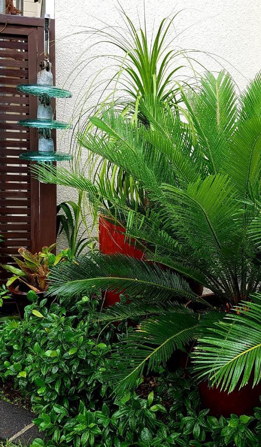 Central Oasis Apartment Tauranga Luaran gambar